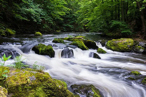 AdobeStock_214983671-1_jpg_webp